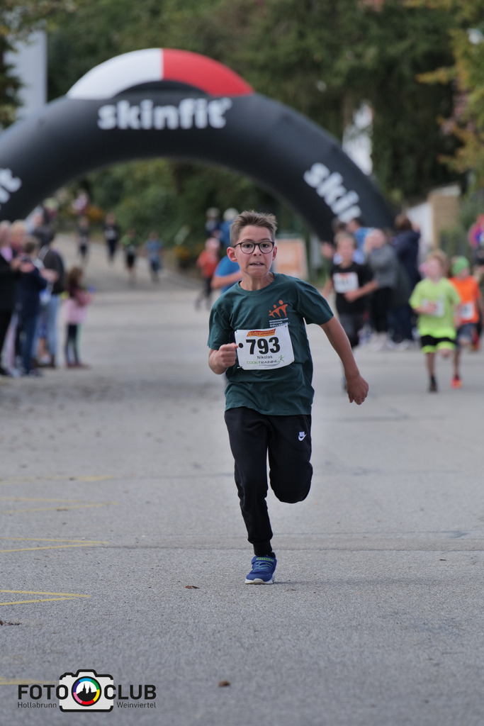 D (479) | Foto Buchgraber