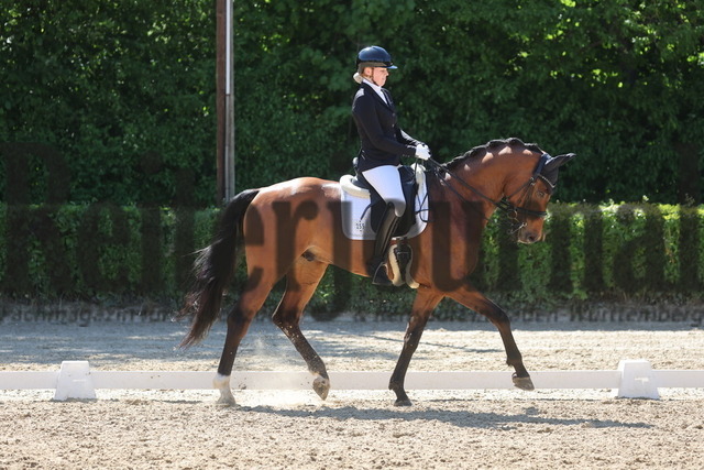 Böblingen_2025_Prfg.Nr.08_Dressurprüfung_Kl.M_Nürnberger Burgpokal_Hanna Käppler_Vitasprint (3) | Alle Fotos der Reiterjournal Fotografin Doris Matthaes im Reiterjournal Online-Fotoshop. - Realisiert mit Pictrs.com