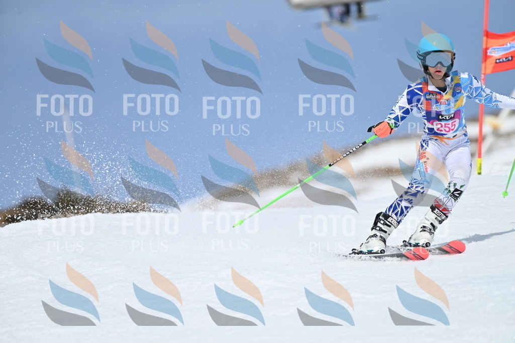 BGV_1975 | holidayphoto