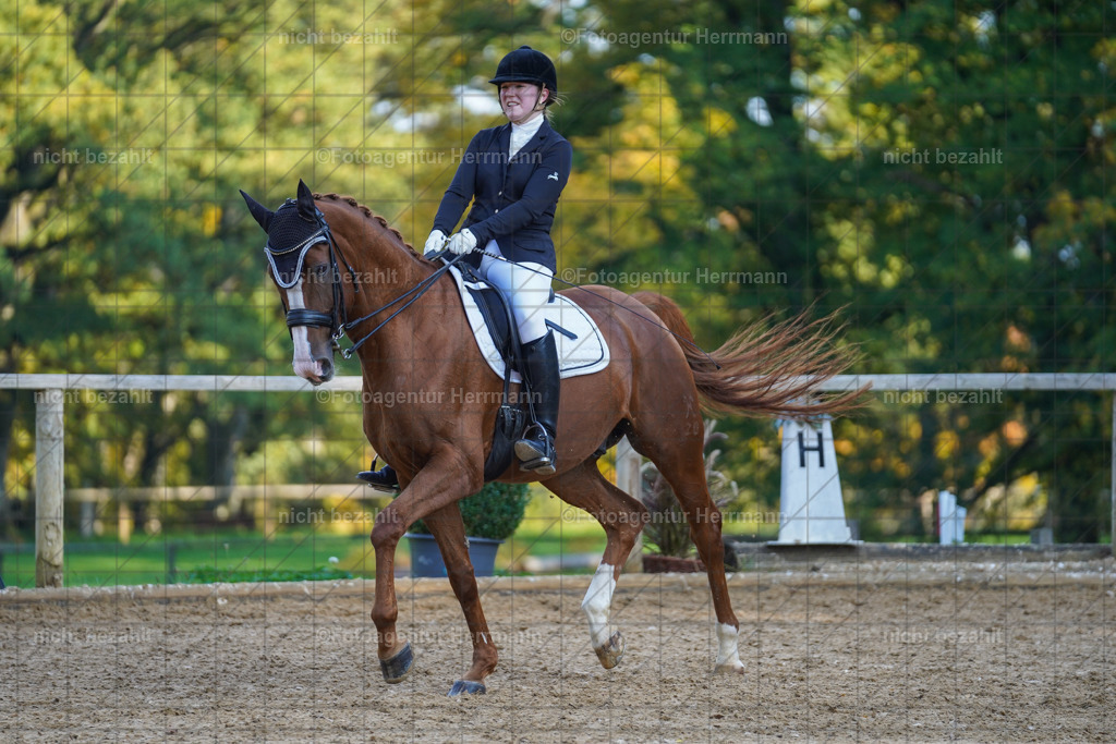 20221007-FAH00227 | Diessen am Ammersee, 2022, Dressur- und Springturnier, Reitsportbilder, Turnierfotografen Bayern, Pferdefotografen, Fotoagentur Herrmann, Turnierbilder
