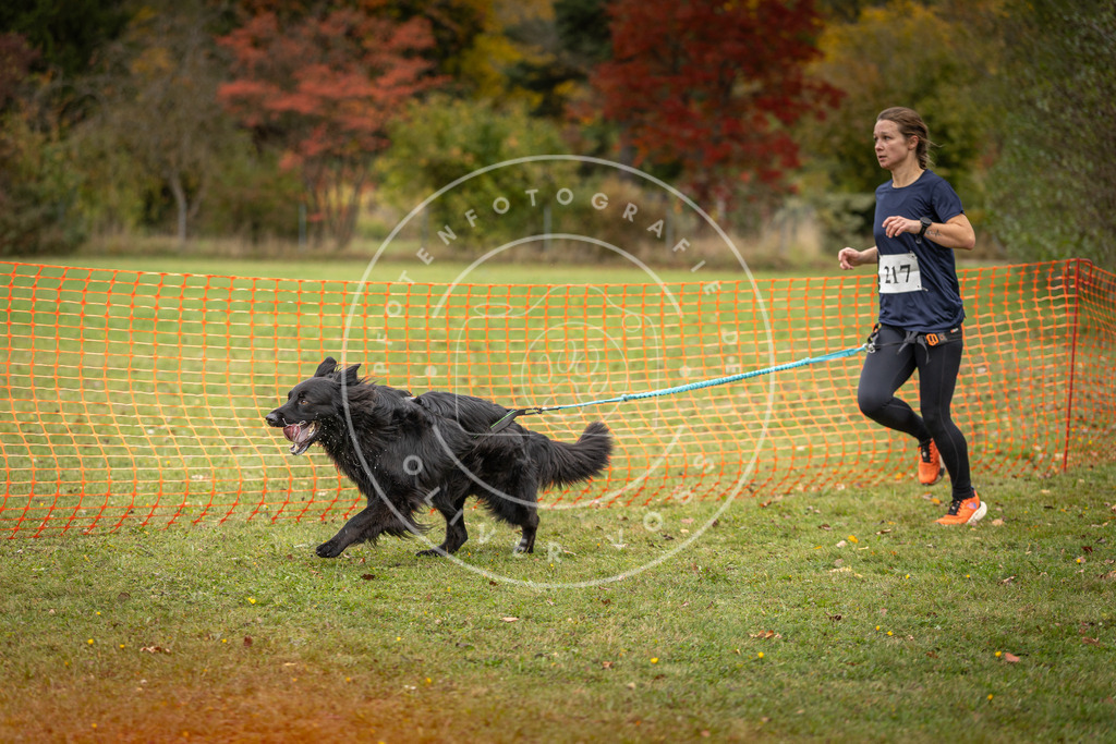 Pfotenfotografie_DV3A4782 | Hundefotografie, Tierfotograf, Pfotenfotografie, Fotoshooting Hund, Hunde Portrait, Hundesport, Hundeportraits, Heideshooting, Hunde, Sportfotograf, Hundefotograf, Turnierhundsport, THS,  - Realisiert mit Pictrs.com