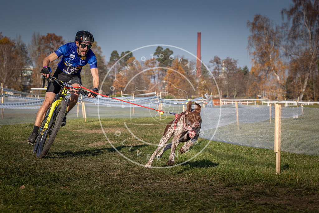 CaniXpix_0L8A6055 | Hundefotografie, Tierfotograf, Pfotenfotografie, Fotoshooting Hund, Hunde Portrait, Hundesport, Hundeportraits, Heideshooting, Hunde, Sportfotograf, Hundefotograf, Turnierhundsport, THS,  - Realisiert mit Pictrs.com