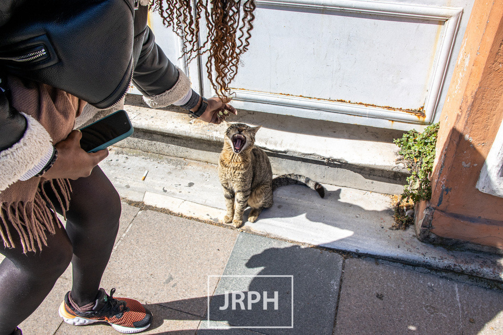 IMG_5434 | jrph - Realisiert mit Pictrs.com