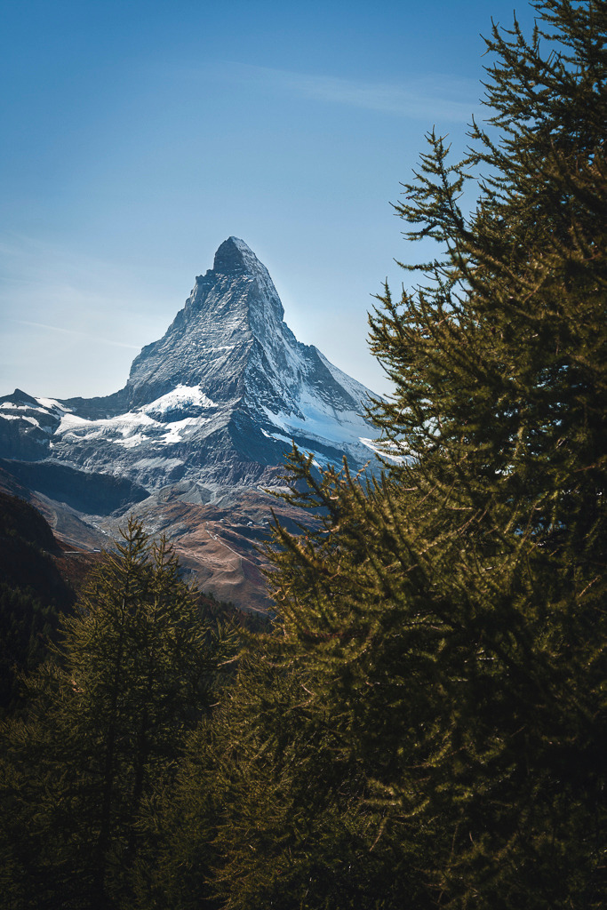 Majestätisches Matterhorn | Ein ikonischer Blick auf das Matterhorn im Wallis – eingerahmt von herbstlich gefärbten Lärchen. Die markante Silhouette des Berges und das klare Licht unterstreichen die beeindruckende Präsenz dieses alpinen Wahrzeichens. - Realisiert mit Pictrs.com