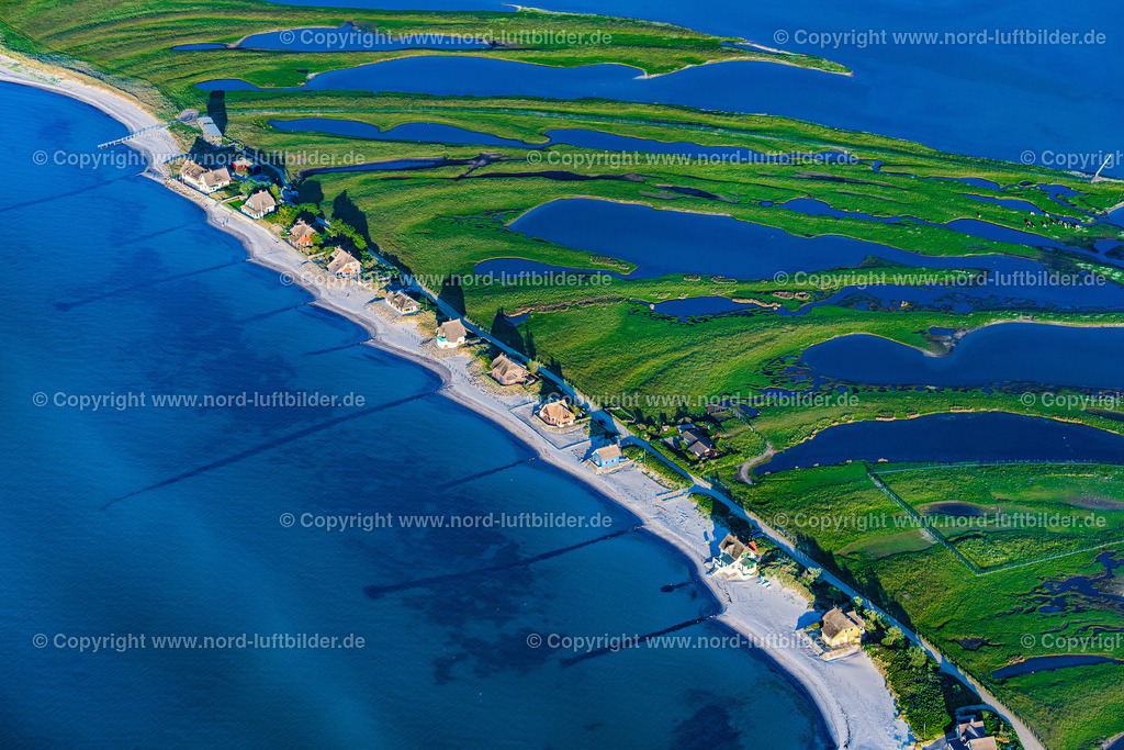 Heiligenhafen_Graswarder_ELS_0608030622 | HEILIGENHAFEN 03.06.2022 Küstenbereich mit sandiger Strand- und Gras- Landschaft der Halbinsel Graswarder-Heilgenhafen mit einigen Einfamilienhäusern in Großenbrode im Bundesland Schleswig-Holstein. // Coastal area of the peninsula Graswarder-Heilgenhafen with a few single- family houses at the beach in Grossenbrode in the state Schleswig-Holstein. Foto: Martin Elsen