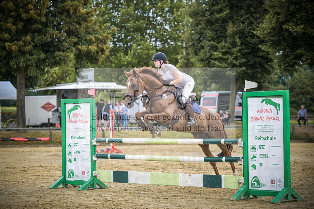 DOS_9386 | Entdecke hochwertige Reitturnierfotos von Foto Oger. Professionell, emotional und authentisch – jetzt Lieblingsmomente im Shop bestellen.Deutschlandweite Turnierfotografie. - Realisiert mit Pictrs.com