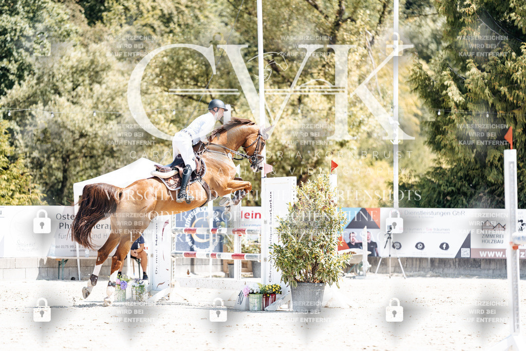 CK900213 | Turnierfotografie Pferdefotografie Trier Rheinland-Pfalz Pferdesport Reitsport Tierfotografie Sportfotografie Pferdevideo Pferdevideografie Equestrianvideography equestrianphotography  - Realisiert mit Pictrs.com