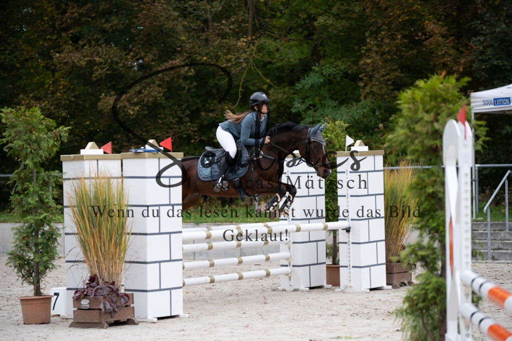 A7V07851 | Pferdefotograf