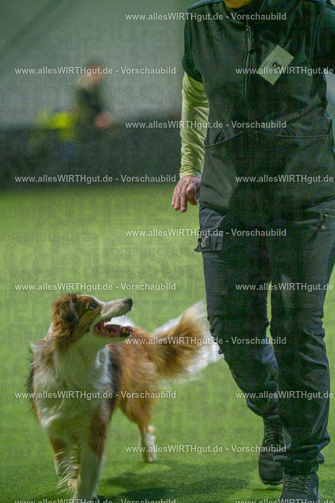 7R509773 | Professionelle Tierfotografie in Mönchengladbach von Daniel Wirth (allesWIRTHgut). Liebevolle & natürliche Bilder von Hunden & Katzen für unvergessliche Erinnerungen.