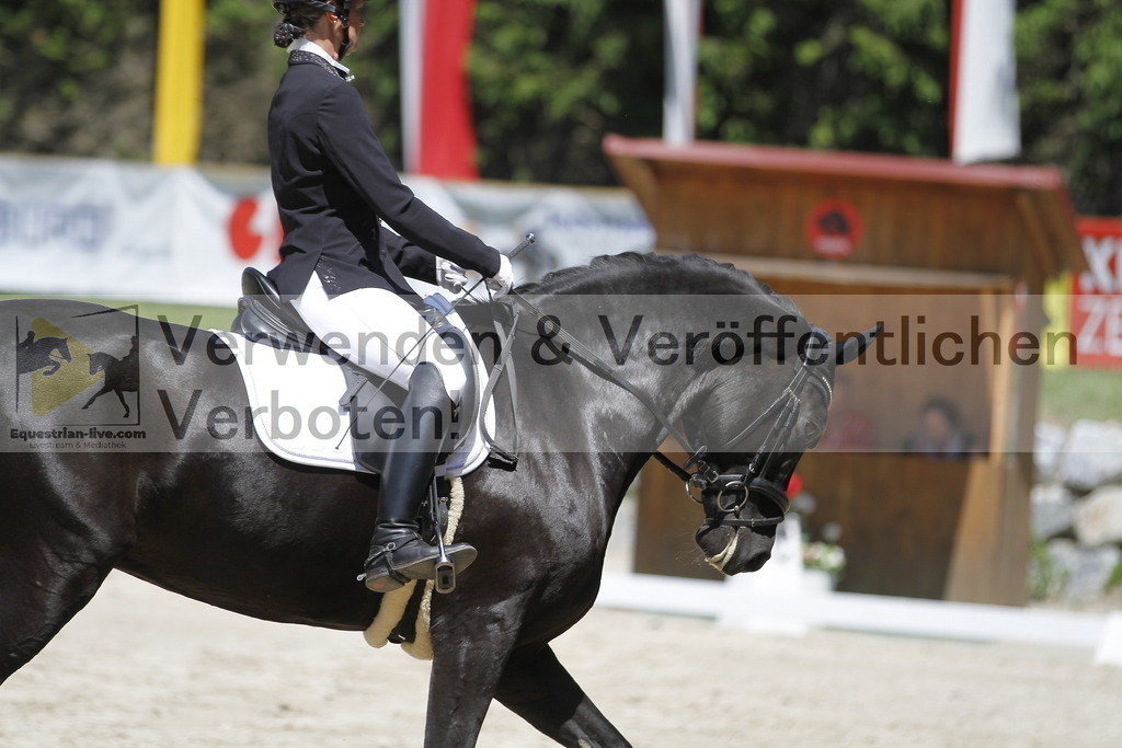 _MG_4666 | equestrian-live-com