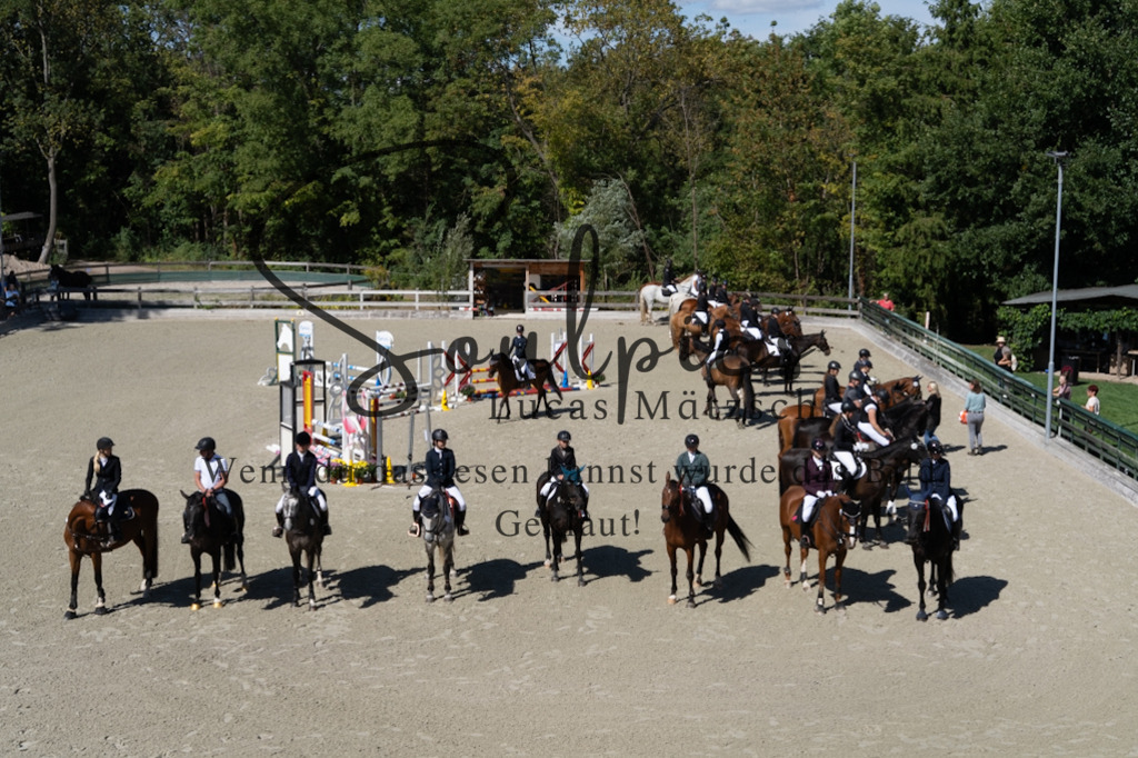 A7V07449 | Pferdefotograf