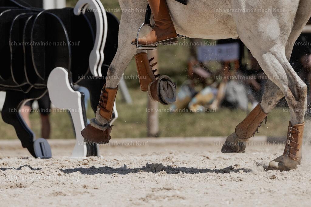 WE_SP_Stoib_336_PI2025_1695 | Pferd International München 2025