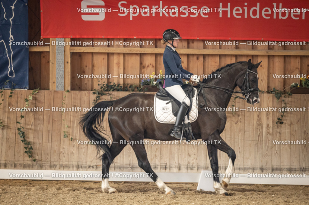 _D5A9266 | Emotionale Pferde- & People-Fotografie rund um Heidelberg, Leimen & Umgebung. Natürliche Fotos von Pferd, Mensch & Familie. Jetzt Termin sichern!