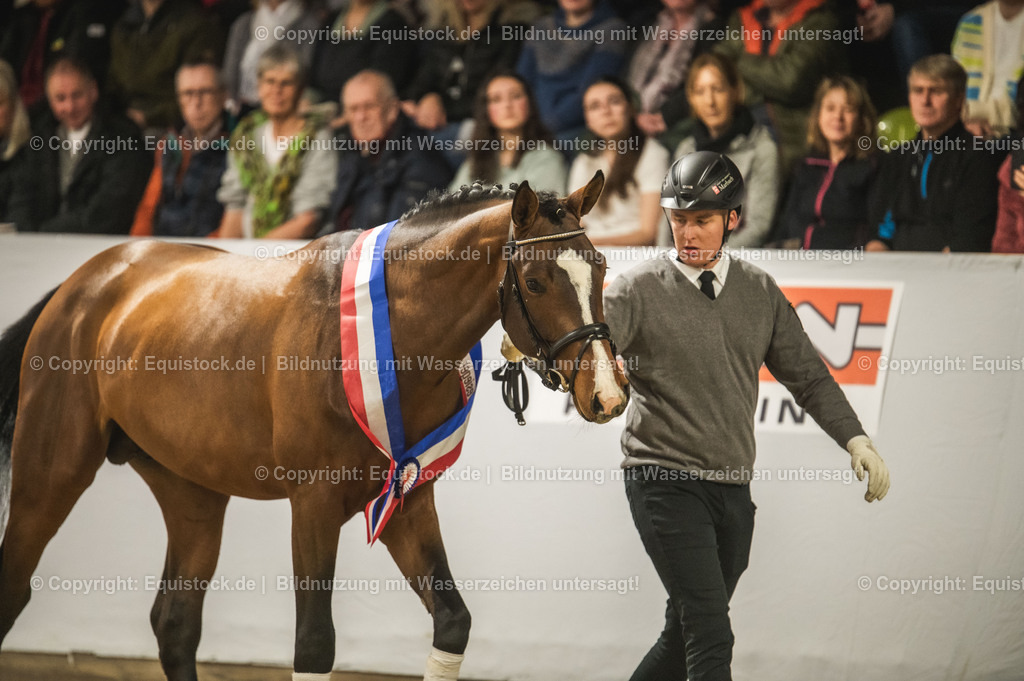 20240302_Hengstvorstellung_Marbach_TOMsPiC_0471-2 | equistock