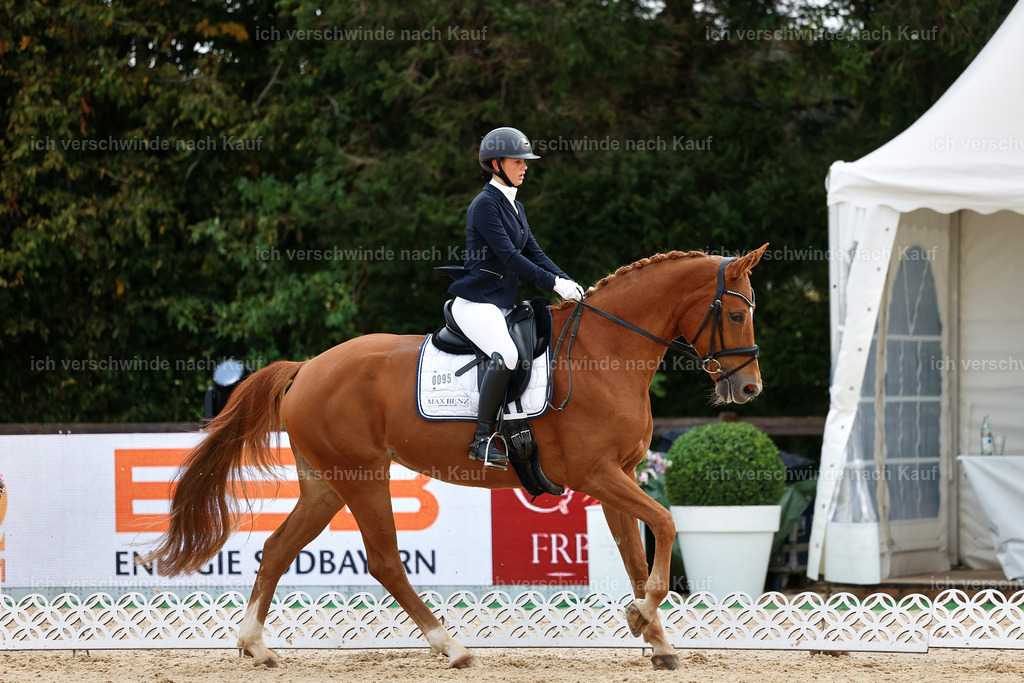 02-095-DRESSUR L_  -StoibPH-4716 | working equitationturnier fotograf videograf stoibphotography marixx film working equitation deutschland reitsport turnierfotografie eventfotografie equestrian events
