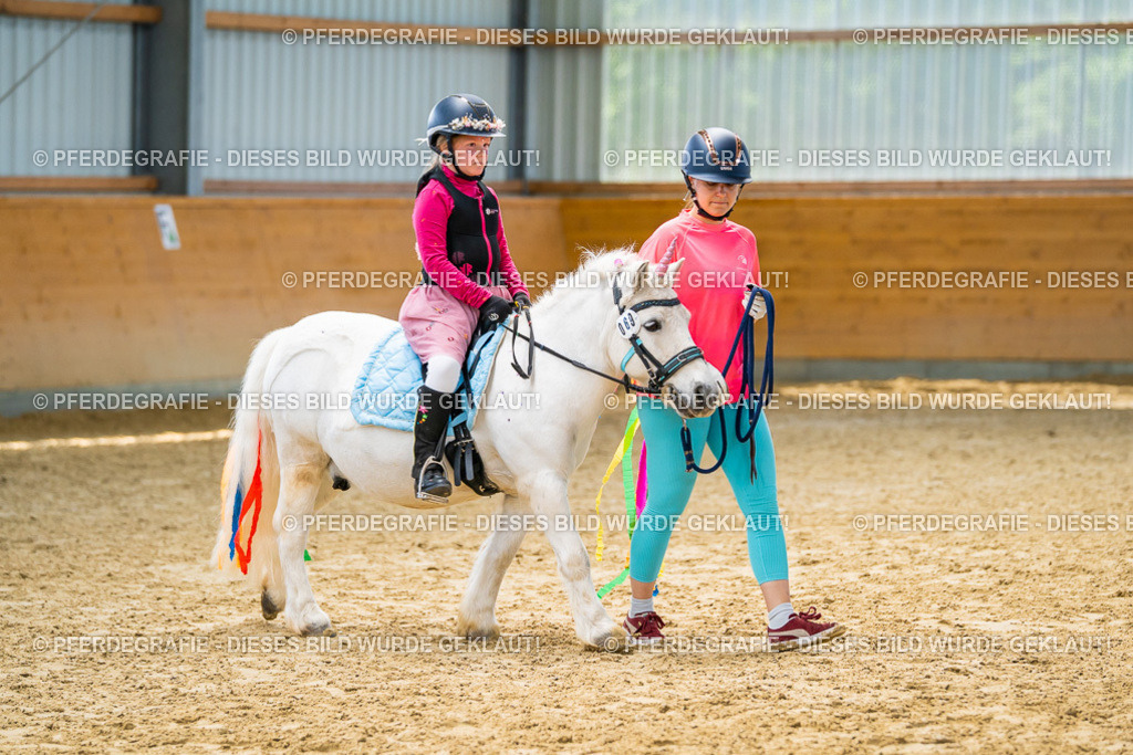 DSC00465 | Pferdegrafie