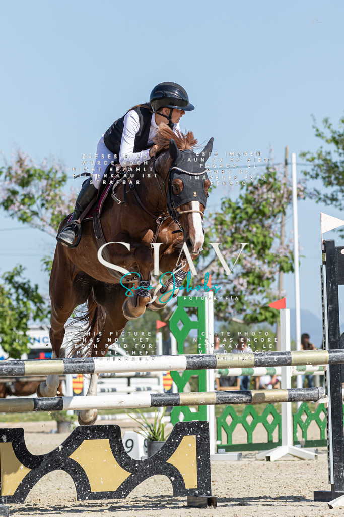 IMG_0967 | s-jay-photography - Realisiert mit Pictrs.com