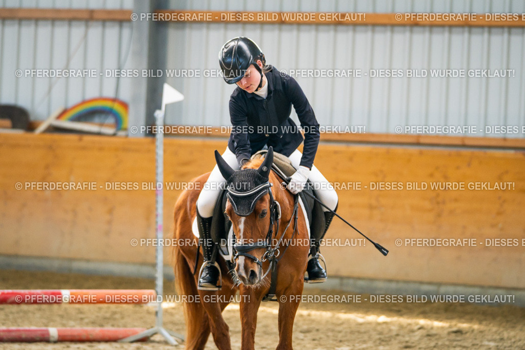 DSC01488 | Pferdegrafie