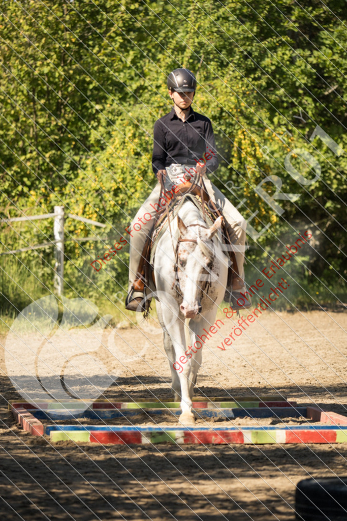 IMG_7705 | Sport-, Event- und Tierfotos in Profiqualität. Einfach auswählen, bestellen und herunterladen. Dein Moment – perfekt festgehalten.