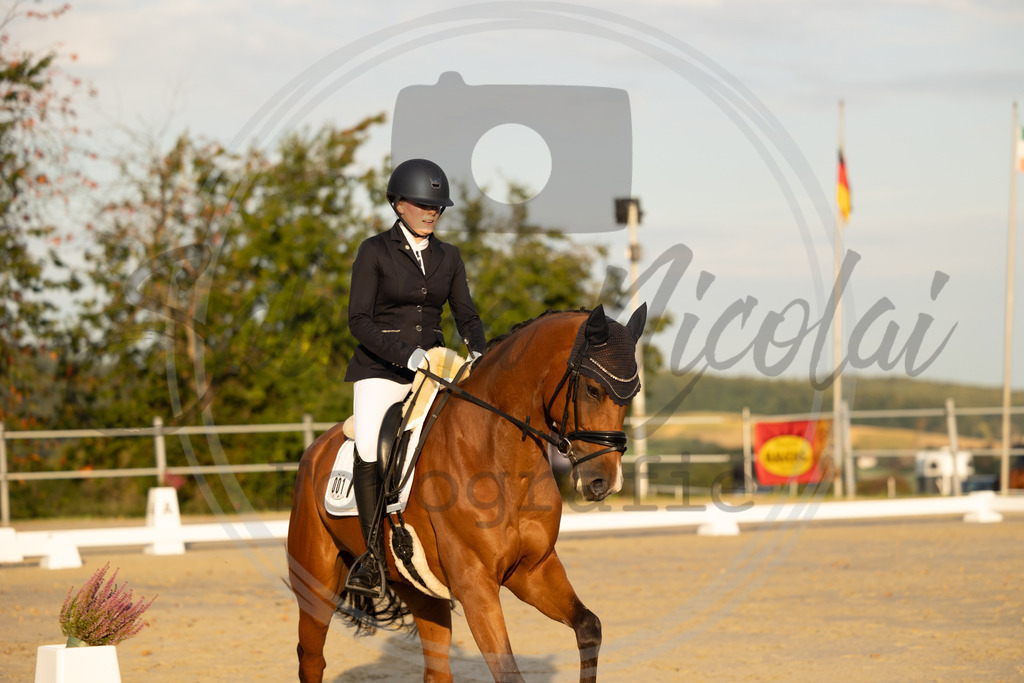 994A0133 | sabrinanicolaifotografie - Realisiert mit Pictrs.com