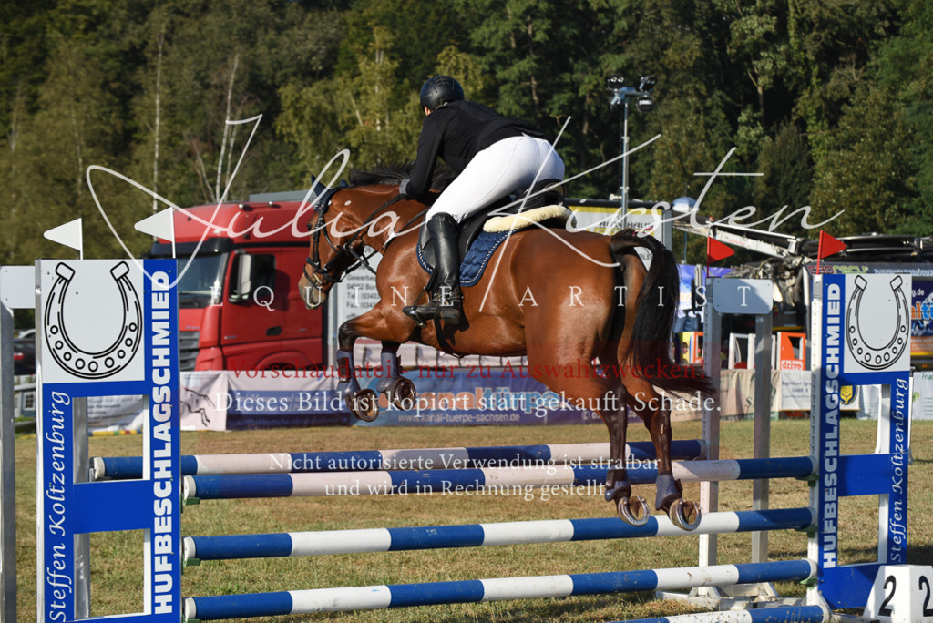 DSC_4975 | Pferde- und Turnierfotografie in Westsachsen. Pferdeportraits, Auftragszeichnungen und intuitive Kunst.