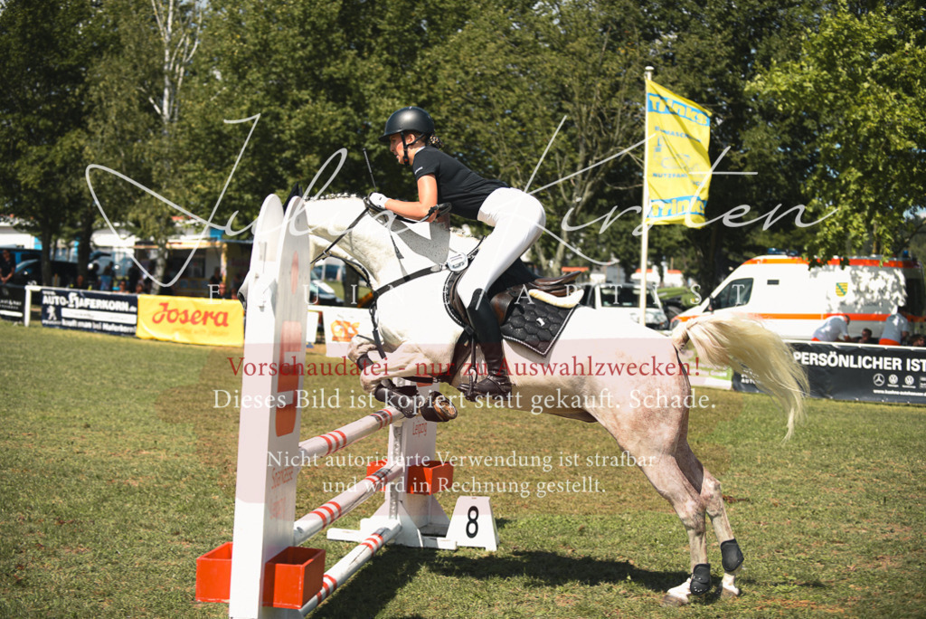 DSC_6549 | Pferde- und Turnierfotografie in Westsachsen. Pferdeportraits, Auftragszeichnungen und intuitive Kunst.