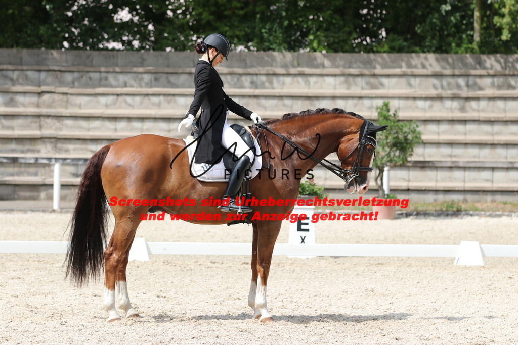 IMG_7139 | lmwpictures - Realisiert mit Pictrs.com