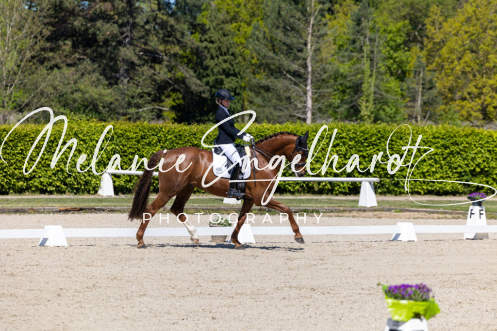 7I8A9788 | melanie-engelhardt-photography - Realisiert mit Pictrs.com