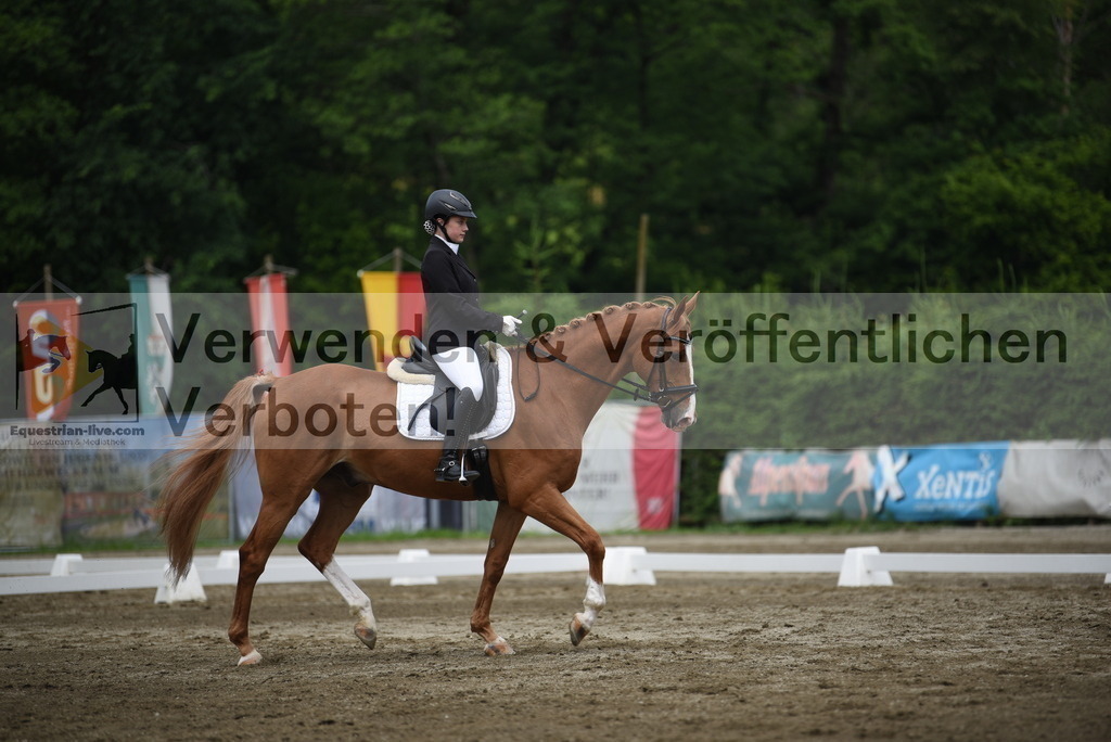 DSC_7975 | equestrian-live-com