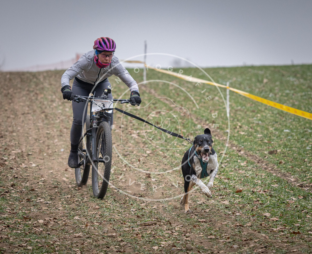 Pfotenfotografie_DV3A0964 | Hundefotografie, Tierfotograf, Pfotenfotografie, Fotoshooting Hund, Hunde Portrait, Hundesport, Hundeportraits, Heideshooting, Hunde, Sportfotograf, Hundefotograf, Turnierhundsport, THS,  - Realisiert mit Pictrs.com
