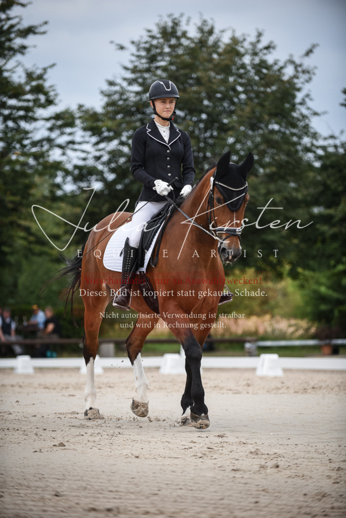 DSC_8251 | Pferde- und Turnierfotografie in Westsachsen. Pferdeportraits, Auftragszeichnungen und intuitive Kunst.