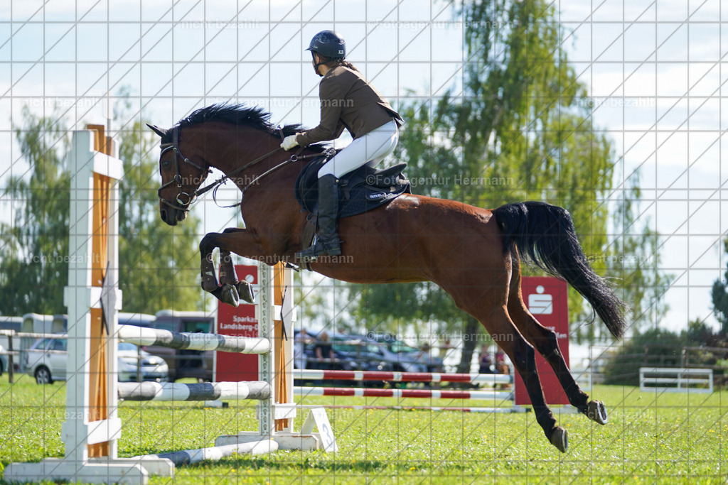 20230917-FAH09369 | Landsberg am Lech, 2023, Kaufbeuren, Kempten, Allgäu, Turnierfotografen Bayern, Fotoagentur Herrmann, Turnierbilder, Reitsport Fotos, Pferdefotograf, Augsburg, Bad Tölz, Dachau, Karlsfeld, Memmingen, Buchloe, Schwabmünchen