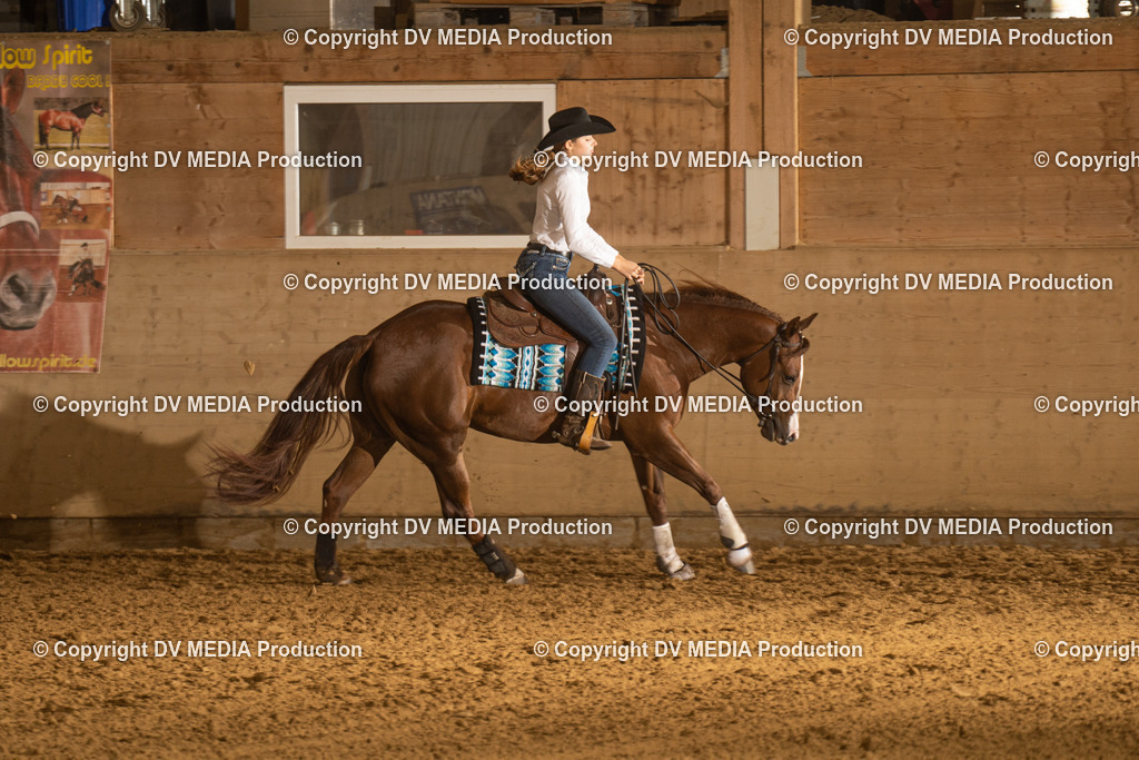 LAU00316 | dv-media-shop - Realisiert mit Pictrs.com