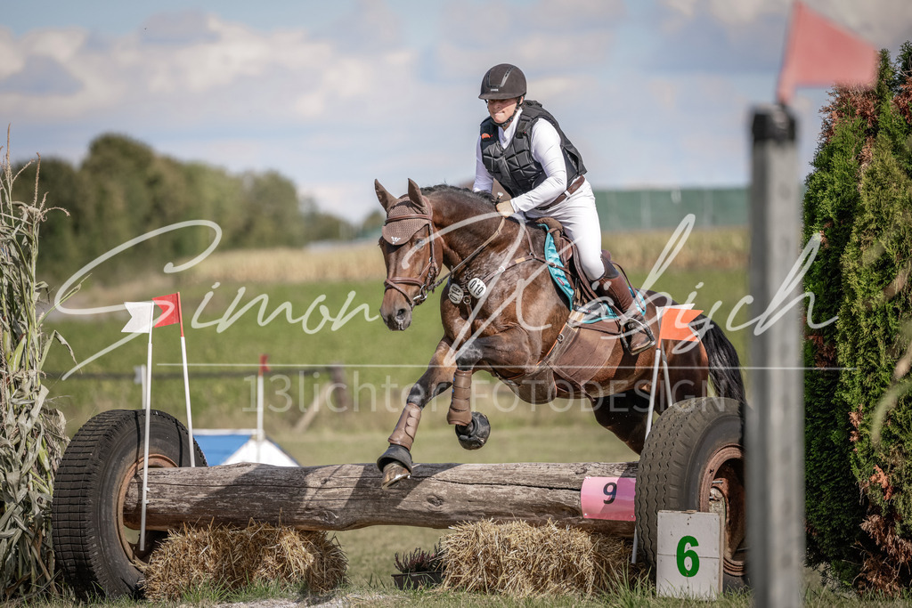 20250906-_3LI6819 | Tierfotografie Pferde, Hunde, Katzen, Haustiere.
Turnierfotografie Reitturniere, Reiten, Springreiten, Dressur in Hanau, dem Main-Kinzig-Kreis und dem Rhein-Main- Gebiet um Frankfurt