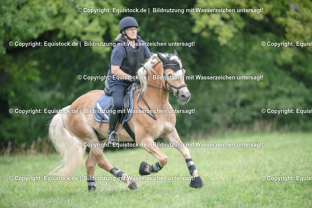 20250726_Vielseitigkeitslehrgang-Marbach_0496 | Foto: Thomas Hartig