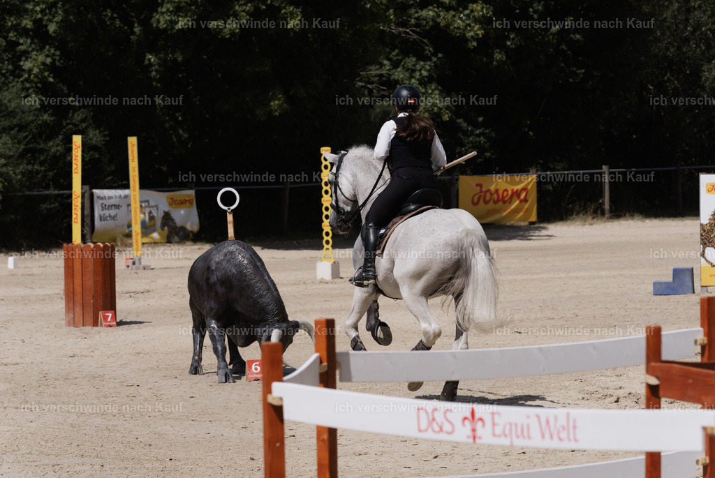 WM_SP_143_SinaFilmArt_IN07806 | working equitationturnier fotograf videograf stoibphotography marixx film working equitation deutschland reitsport turnierfotografie eventfotografie equestrian events
