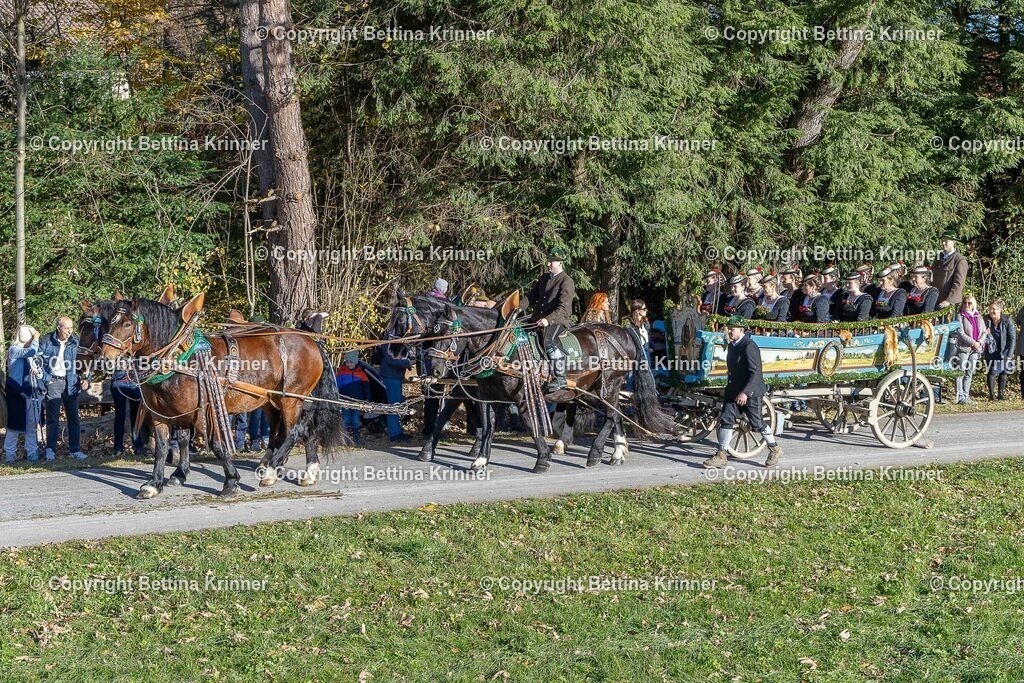LBT25-298 | foto-bettina-krinner - Realisiert mit Pictrs.com