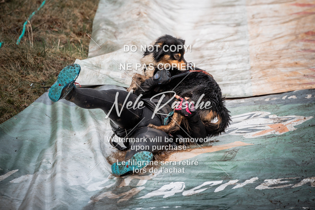 nelerasche_1000-1030_217 | nelerasche