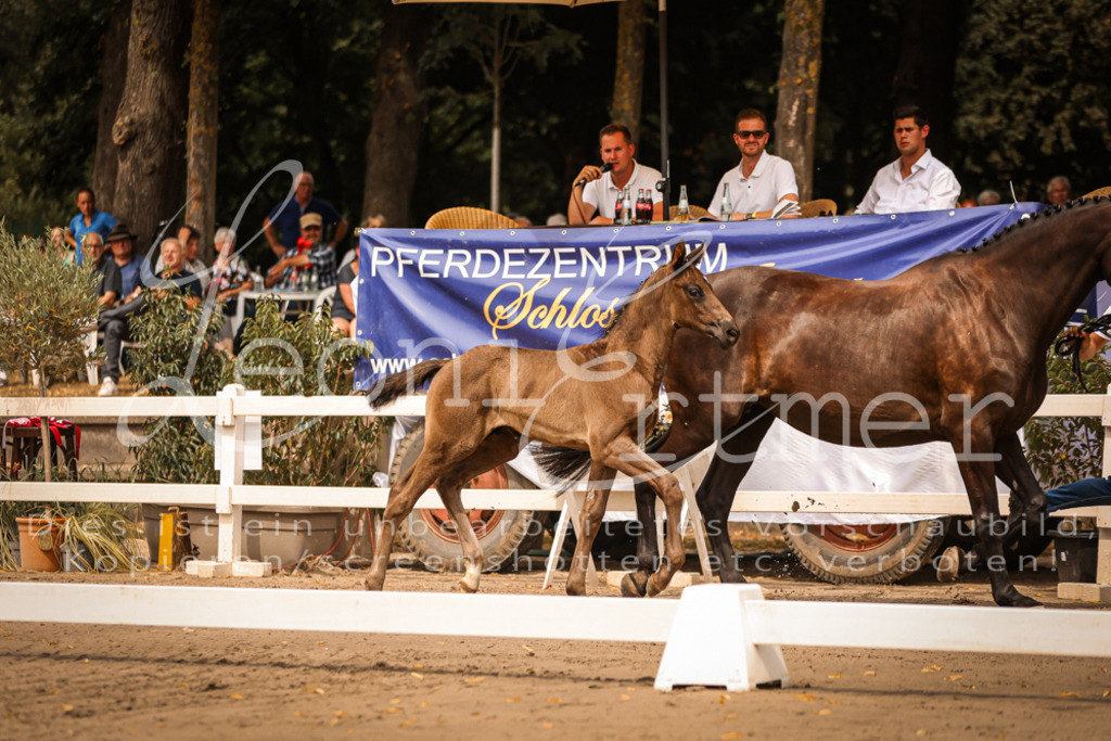 SaPA00049 | Leoni Ertmer Photography - Realisiert mit Pictrs.com