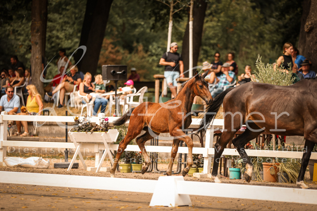 SaPA00109 | Leoni Ertmer Photography - Realisiert mit Pictrs.com