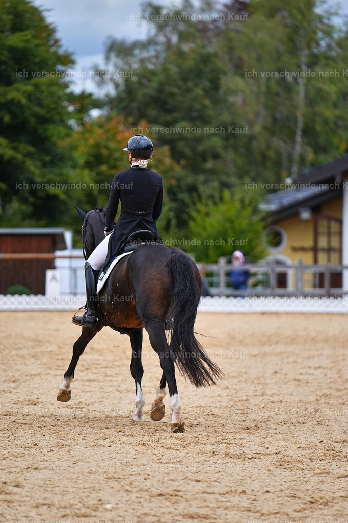 8_1-104-Klasse S_  -Marixx-4214 | working equitationturnier fotograf videograf stoibphotography marixx film working equitation deutschland reitsport turnierfotografie eventfotografie equestrian events