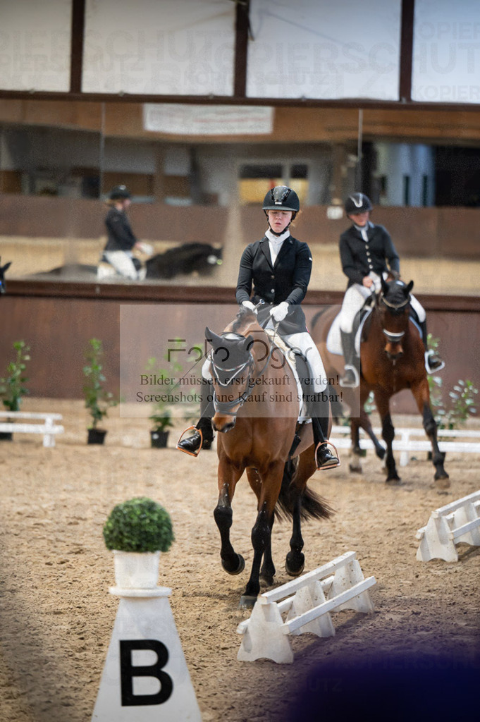 Hallenreittunier Voxtrup 2023 | Entdecke hochwertige Reitturnierfotos von Foto Oger. Professionell, emotional und authentisch – jetzt Lieblingsmomente im Shop bestellen.Deutschlandweite Turnierfotografie. - Realisiert mit Pictrs.com