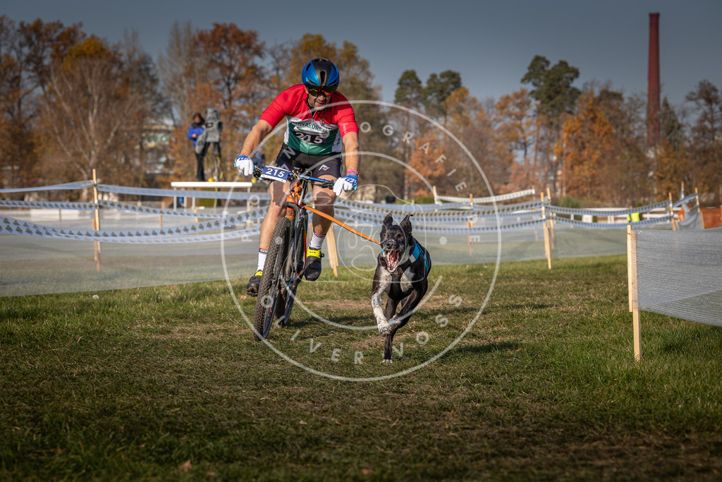 CaniXpix_0L8A7278 | Hundefotografie, Tierfotograf, Pfotenfotografie, Fotoshooting Hund, Hunde Portrait, Hundesport, Hundeportraits, Heideshooting, Hunde, Sportfotograf, Hundefotograf, Turnierhundsport, THS,  - Realisiert mit Pictrs.com