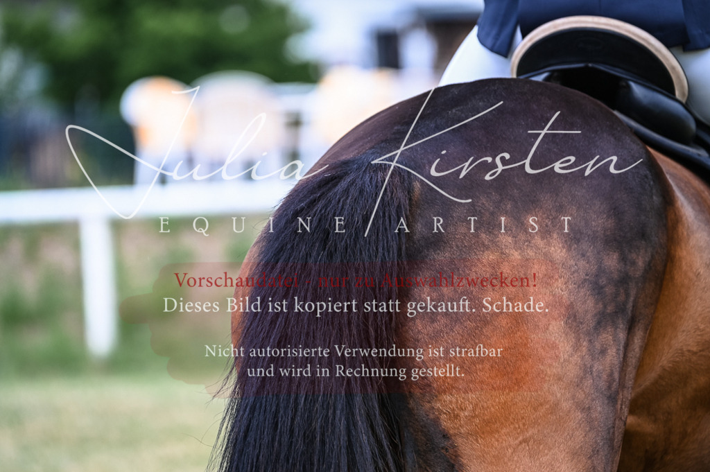 DSC_8243 | Pferde- und Turnierfotografie in Westsachsen. Pferdeportraits, Auftragszeichnungen und intuitive Kunst.