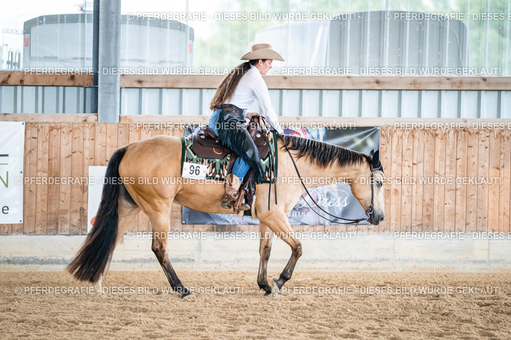 DSC03616 | Pferdegrafie