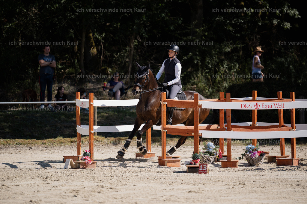 WM_ST_110_stoibphotography__SO11966 | working equitationturnier fotograf videograf stoibphotography marixx film working equitation deutschland reitsport turnierfotografie eventfotografie equestrian events
