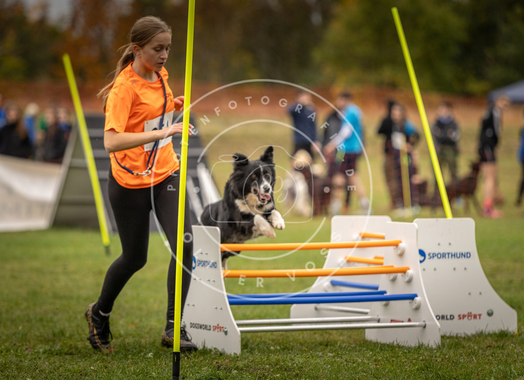 Pfotenfotografie_DV3A6232 | Hundefotografie, Tierfotograf, Pfotenfotografie, Fotoshooting Hund, Hunde Portrait, Hundesport, Hundeportraits, Heideshooting, Hunde, Sportfotograf, Hundefotograf, Turnierhundsport, THS,  - Realisiert mit Pictrs.com