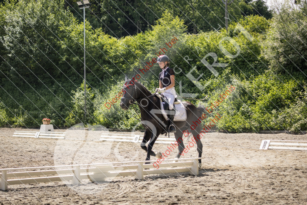 IMG_4541 | Sport-, Event- und Tierfotos in Profiqualität. Einfach auswählen, bestellen und herunterladen. Dein Moment – perfekt festgehalten.