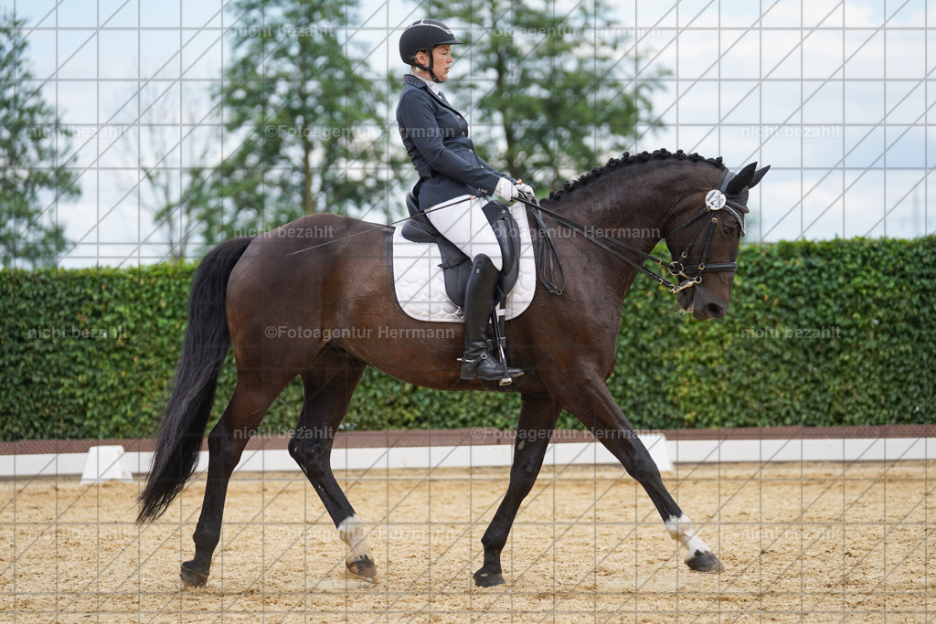 20240630-FAH02142 | Turnierbilder Schwabmünchen, Dressurbilder, Springreitturnier, Reitsportbilder, Turnierfotografen Bayern, Turnierfotograf