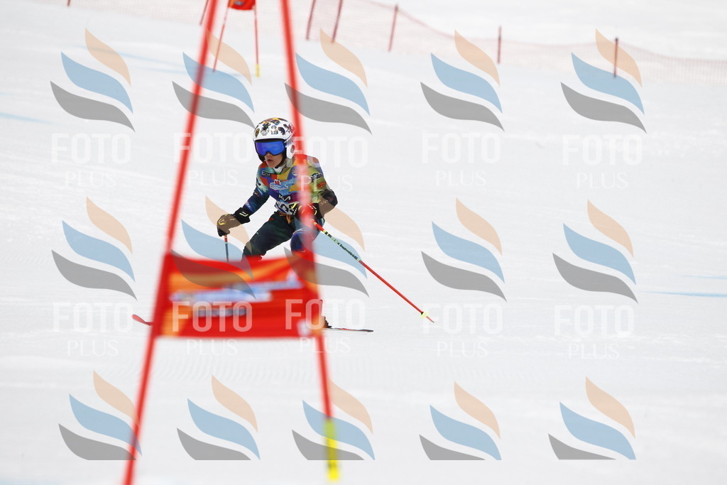 _U3G7587 | holidayphoto